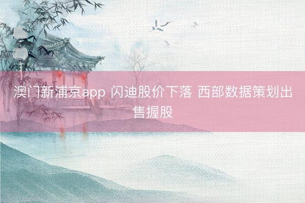 澳门新浦京app 闪迪股价下落 西部数据策划出售握股