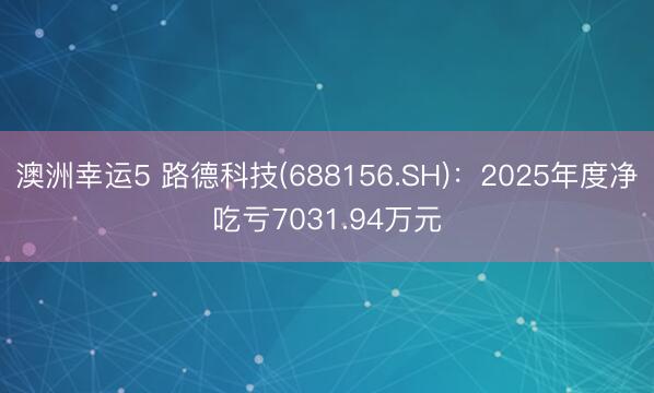 澳洲幸运5 路德科技(688156.SH):2025年度净吃亏7031.94万元
